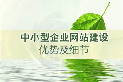 德州中小企業(yè)網(wǎng)站建設(shè)時的細(xì)節(jié)要求 德州中小企業(yè)網(wǎng)站建設(shè)時的細(xì)節(jié)要求
